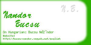 nandor bucsu business card